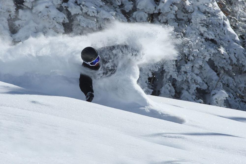 Grand Targhee Snowboarder