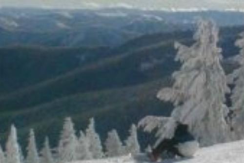 Silver Mountain