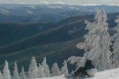 Silver Mountain