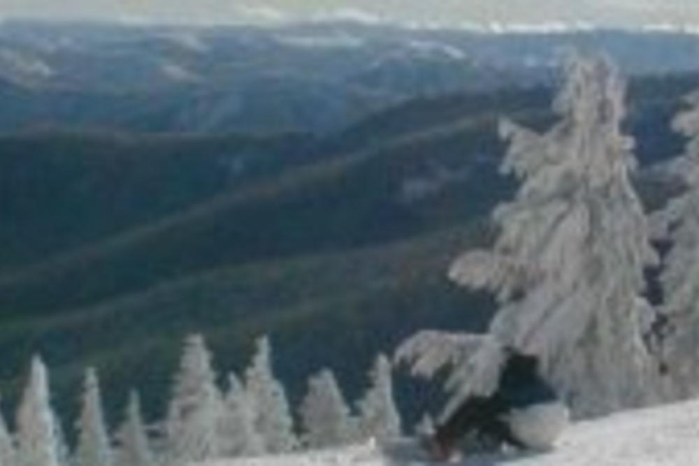 Silver Mountain