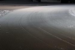 Corduroy