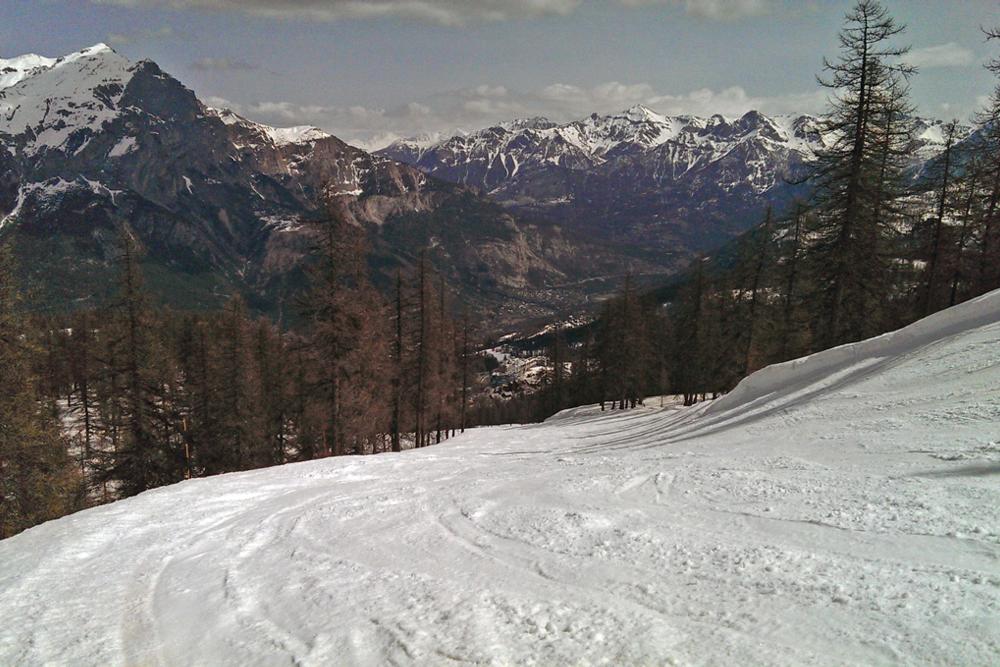 Wide gladed runs in the Coqs area