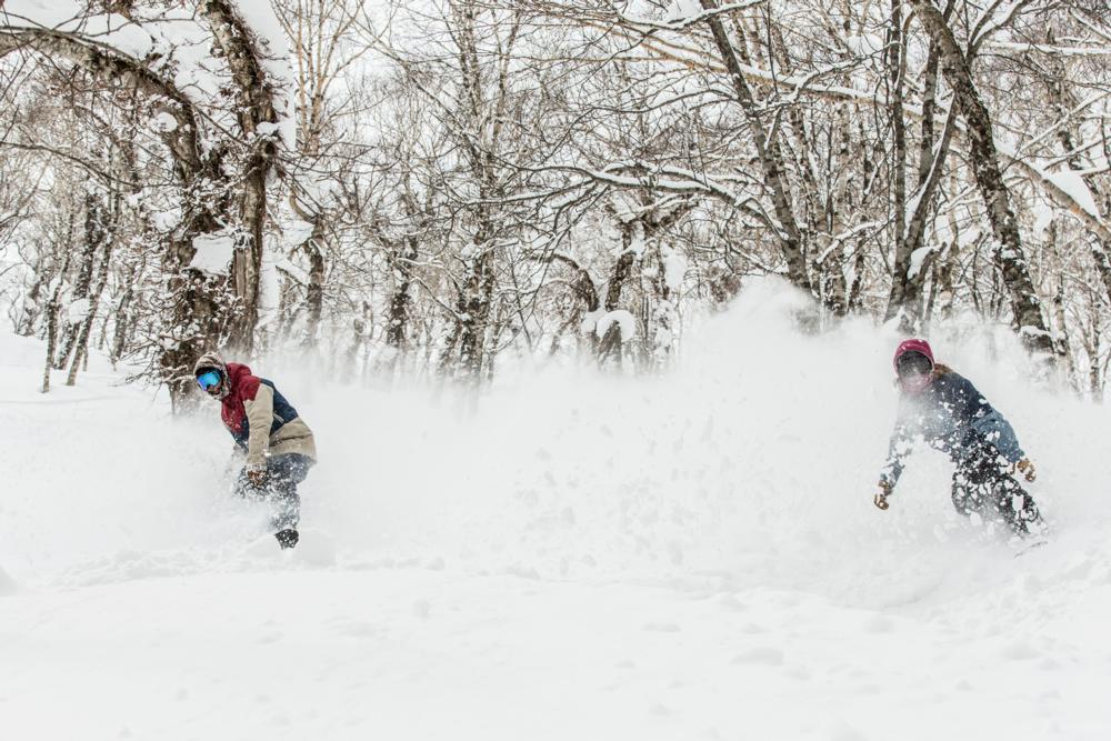 Photo: Rusutsu powder