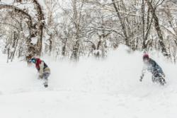 Photo: Rusutsu powder