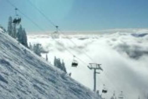 Mt Washington