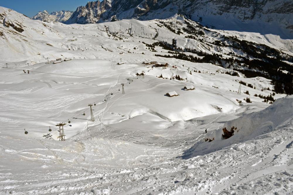 Grindelwald off-piste area under the first-fleiger