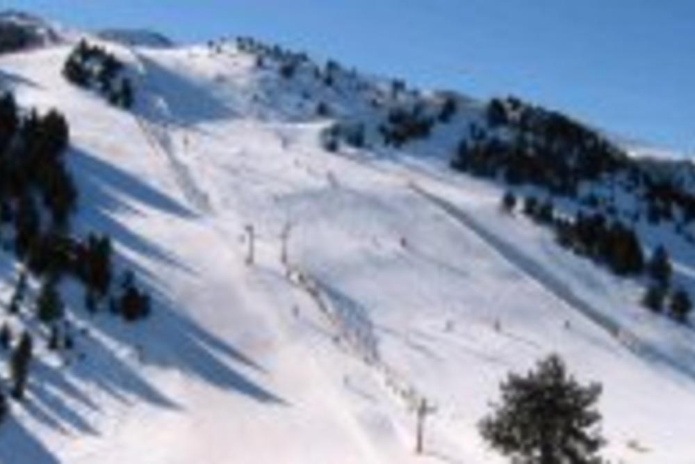 Masella