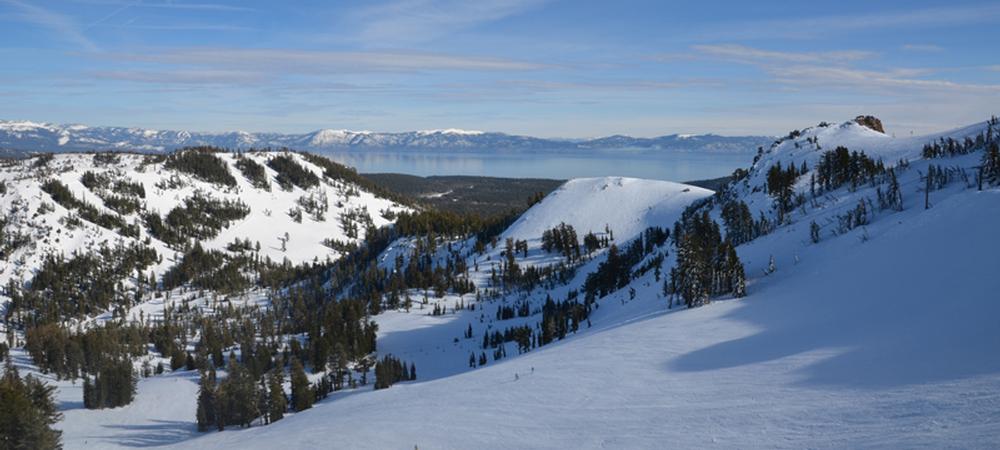 alpine meadows