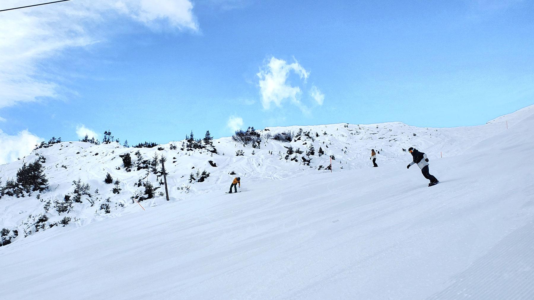 Grindelwald Pistes