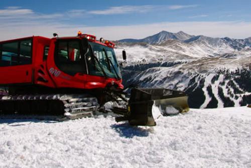 Loveland Ridge Cat