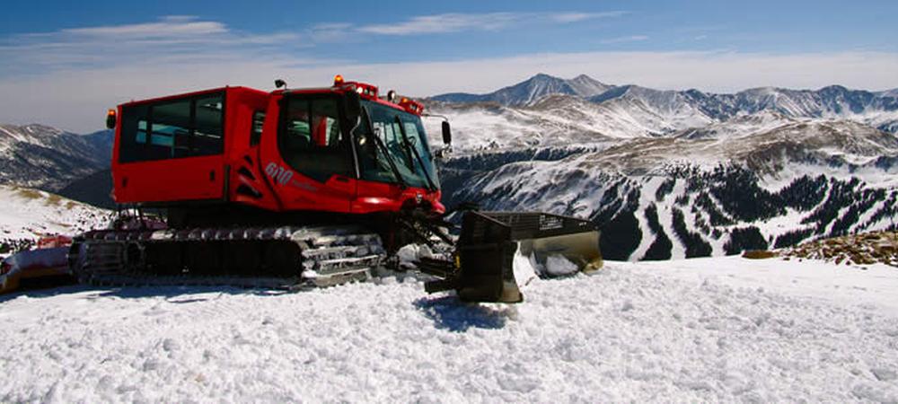 Loveland Ridge Cat