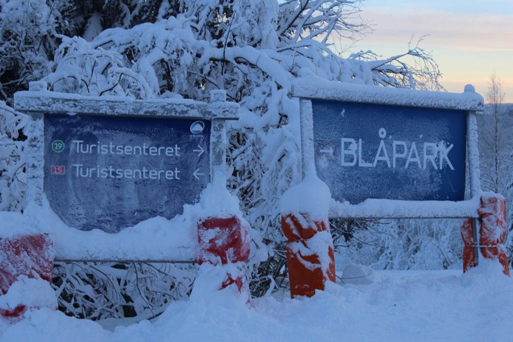 Trysil Park Signs