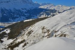 Grindelwald valley