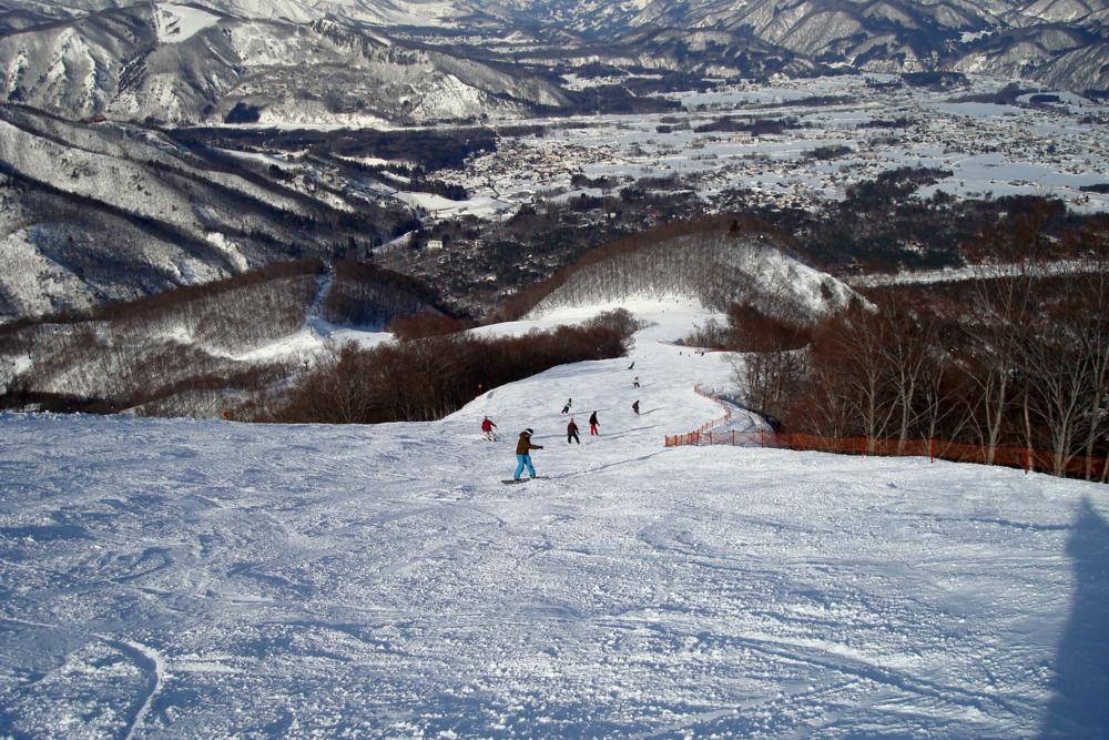 Hakuba 47 Resort Guide World Snowboard Guide