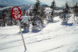 Shiga Kogen Danger
