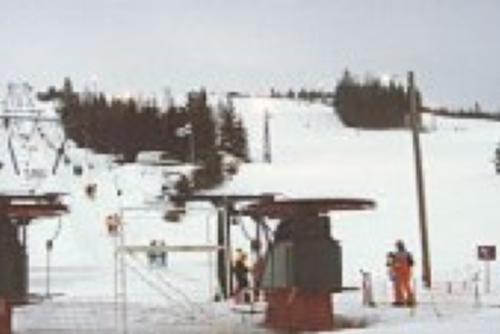 Mustavaara