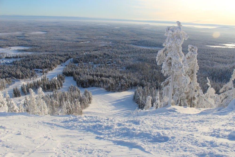 Black Run Fresh Snow