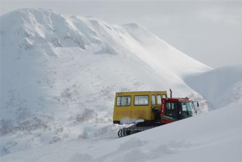 Niseko Weiss