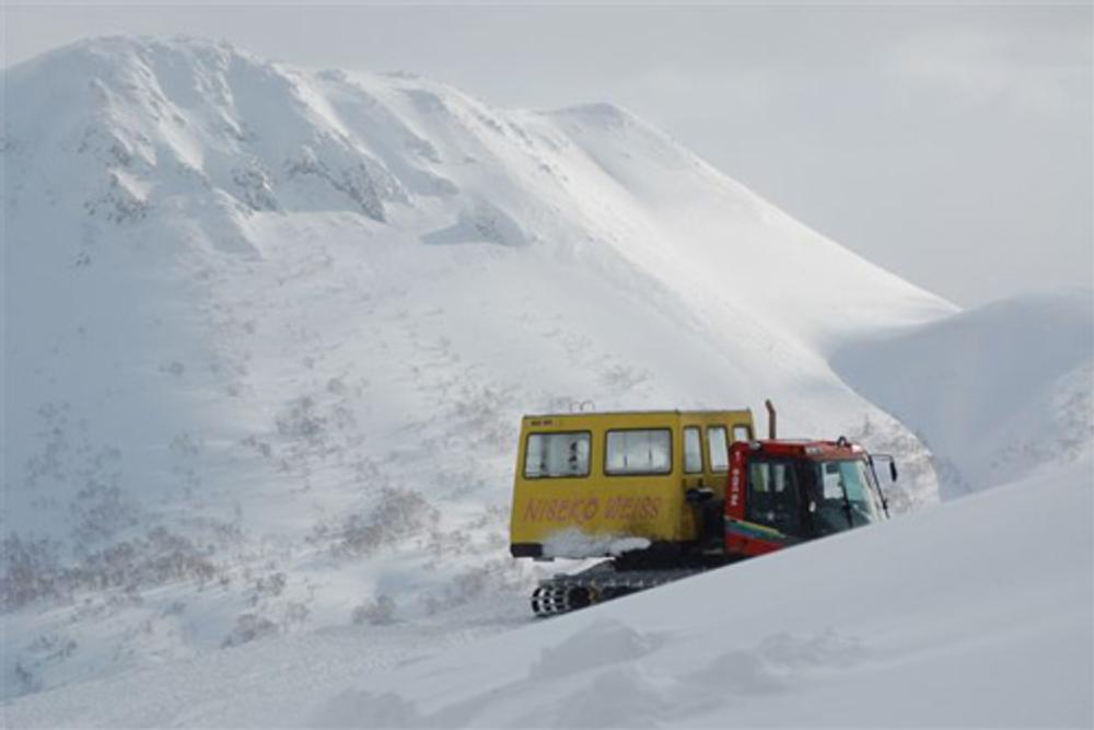 Niseko Weiss