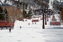 Shiga Kogen beginner area