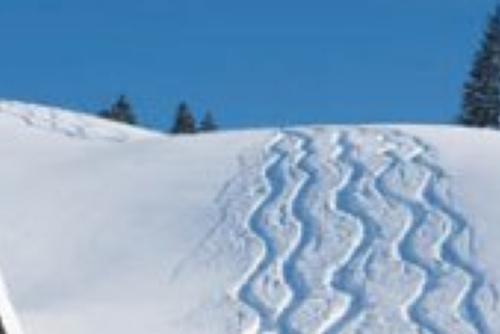 Balderschwang