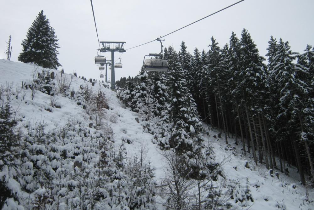 Niedrau Chairlift Trees