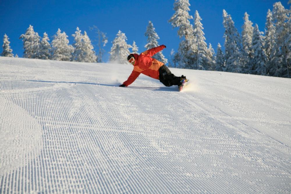 tahko snowboarder