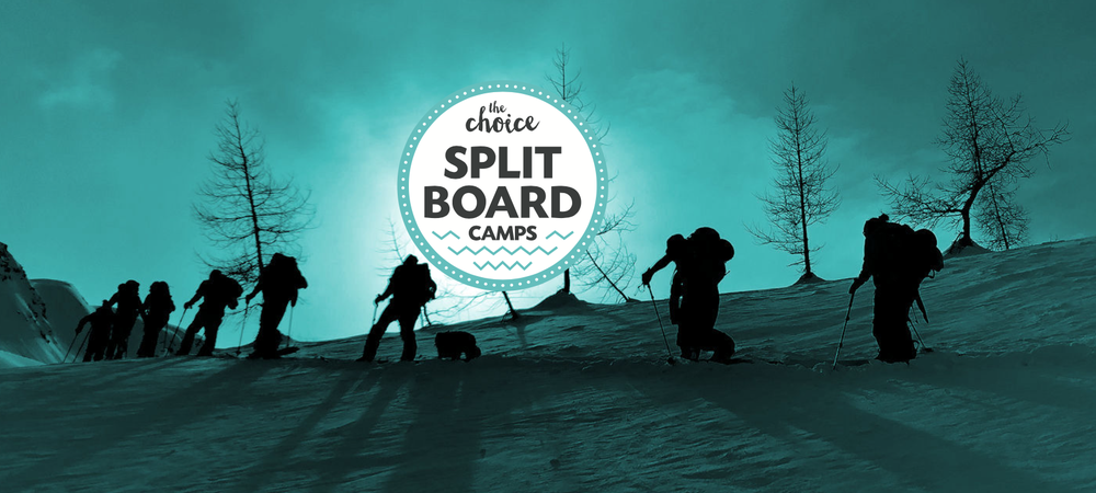 choice_split_camps.png