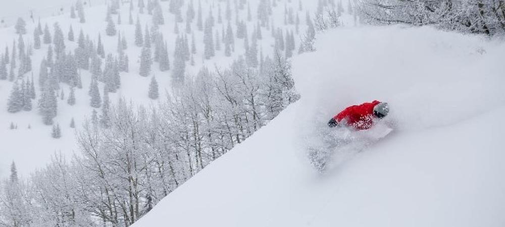 Aspen Snowboarder