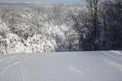 Camp Fortune Piste