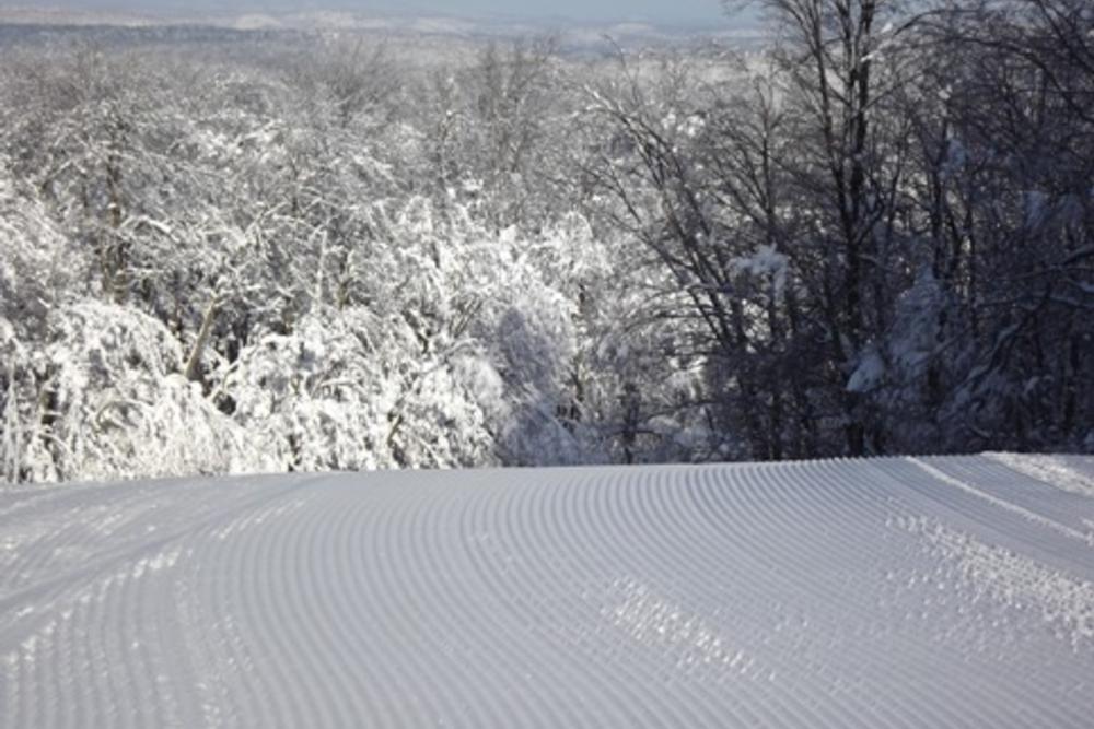 Camp Fortune Piste