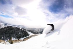 Murdocks Park City