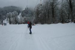 Niedrau T-Bar Rider