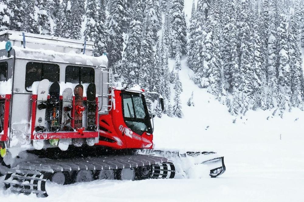 Cat Boarding Revelstoke