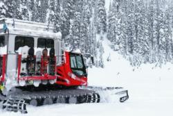 Cat Boarding Revelstoke
