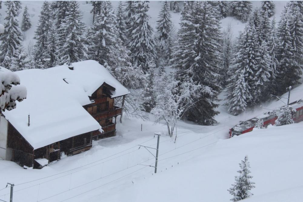 Arosa Vista