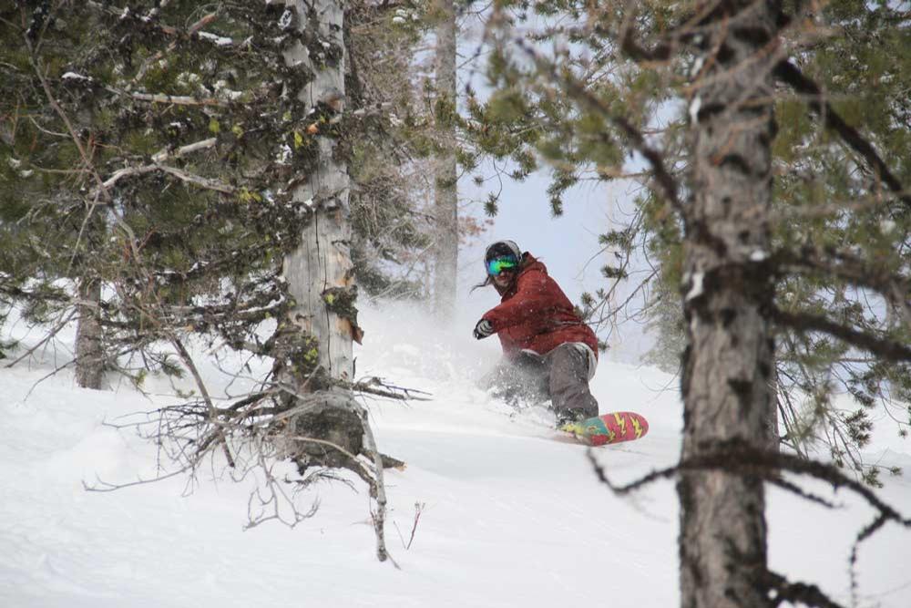 Schweitzer Snowboarder