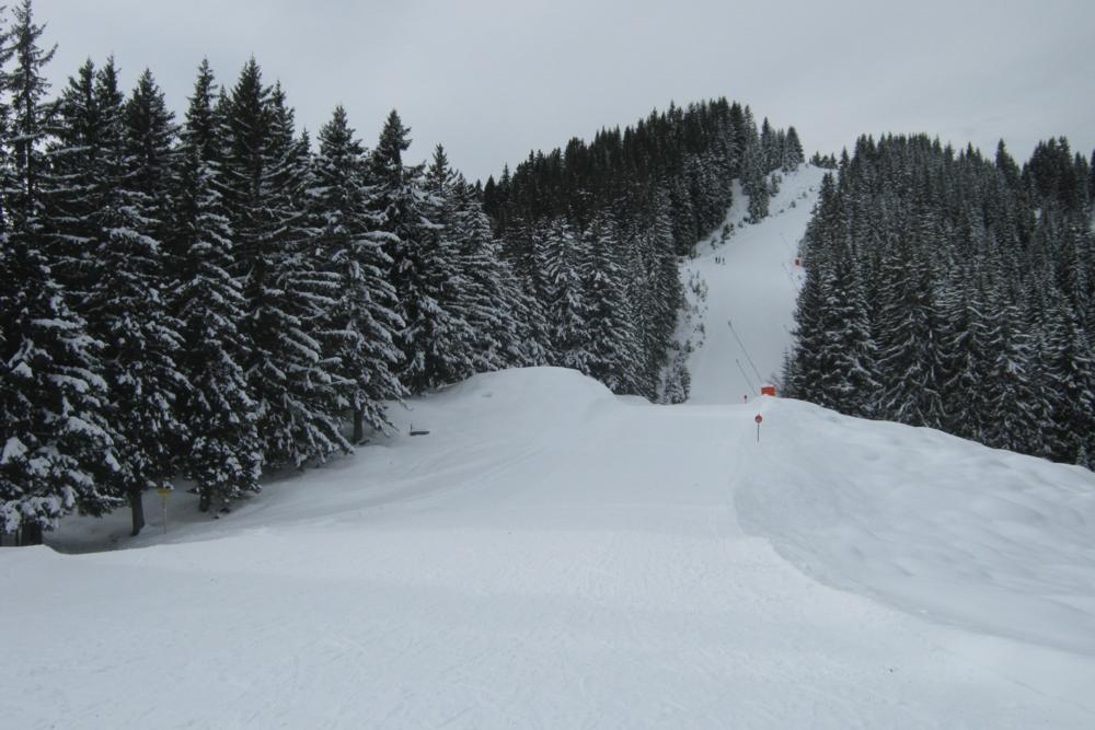 Niedrau Red 17