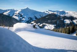 Freeride in Saalbach Hinterglemm Leogang Fieberbrunn