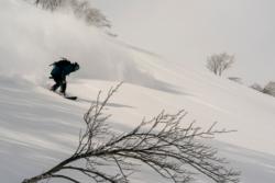 Lotte Arai, Rider Andrew Kelly