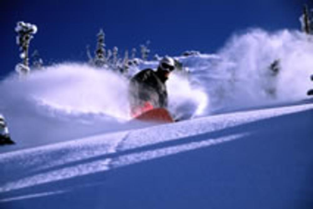 Snowbird riding guide World Snowboard Guide