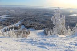 Pyha powder