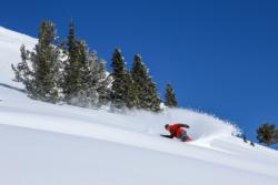 Pinecone Ridge Park City