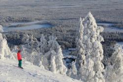 Ungroomed Powder Black Run