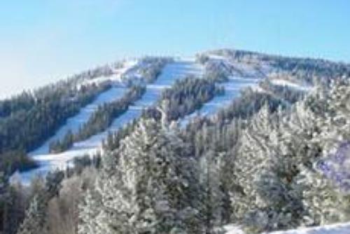 Terry Peak
