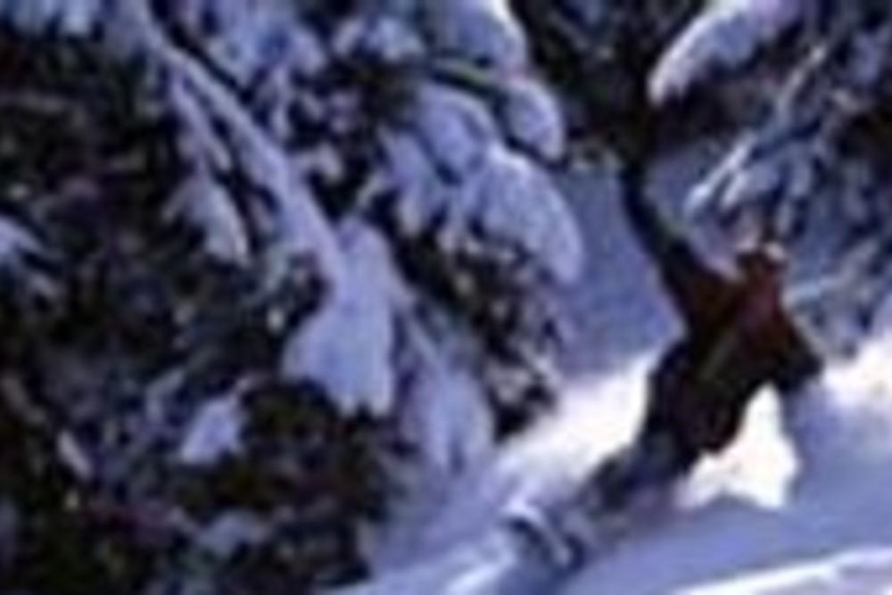 La Rosiere mountain statistics World Snowboard Guide