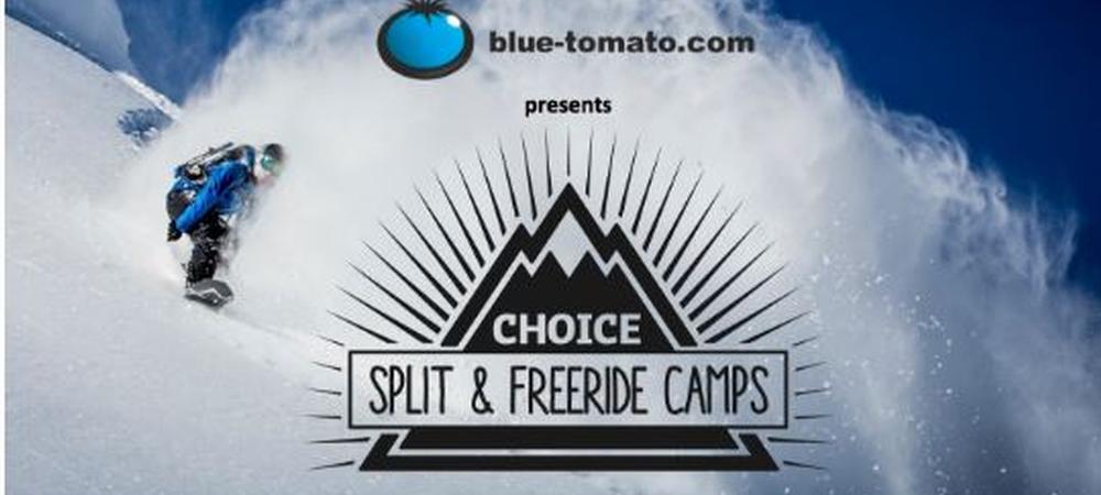 Blue Tomato Split Camps