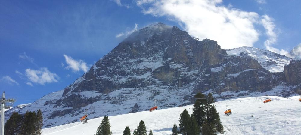 Wengen Vista