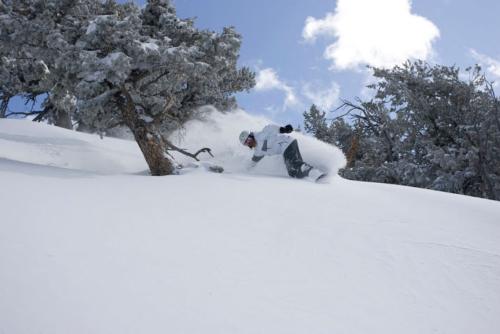 Canyon Snowboarder