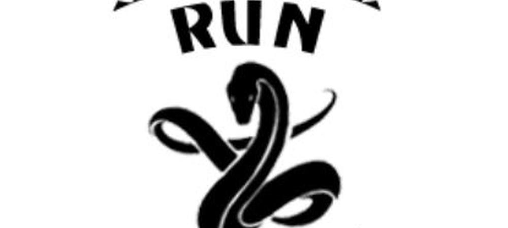 Snake Run Battle